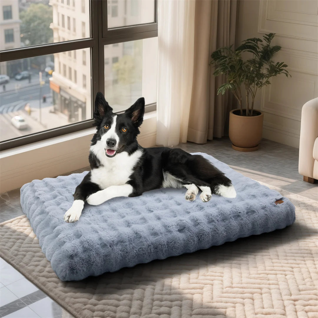 BINGOPAW Ultra-soft Dog Bed Pet Cover