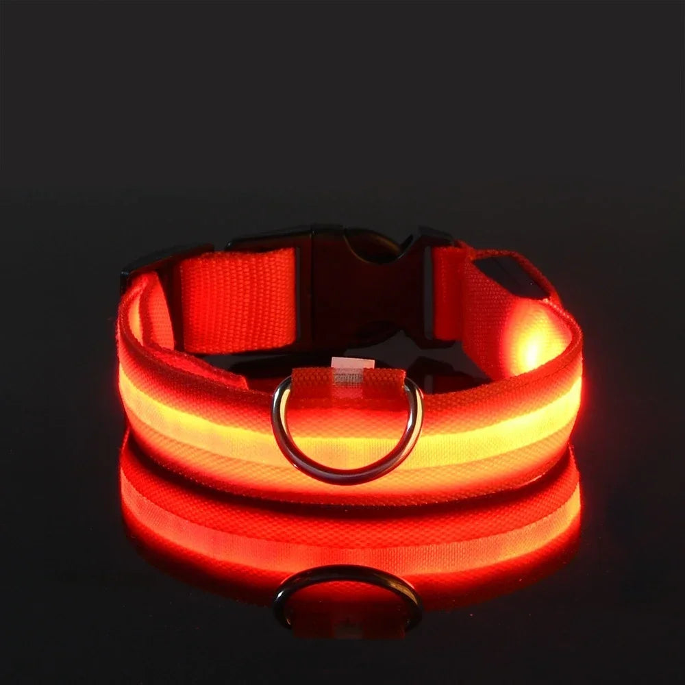 Dog Collar Nylon LED Night