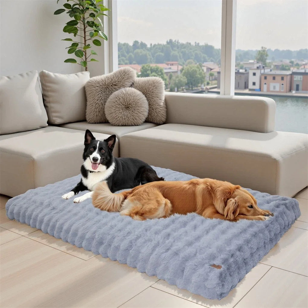 BINGOPAW Ultra-soft Dog Bed Pet  Cover