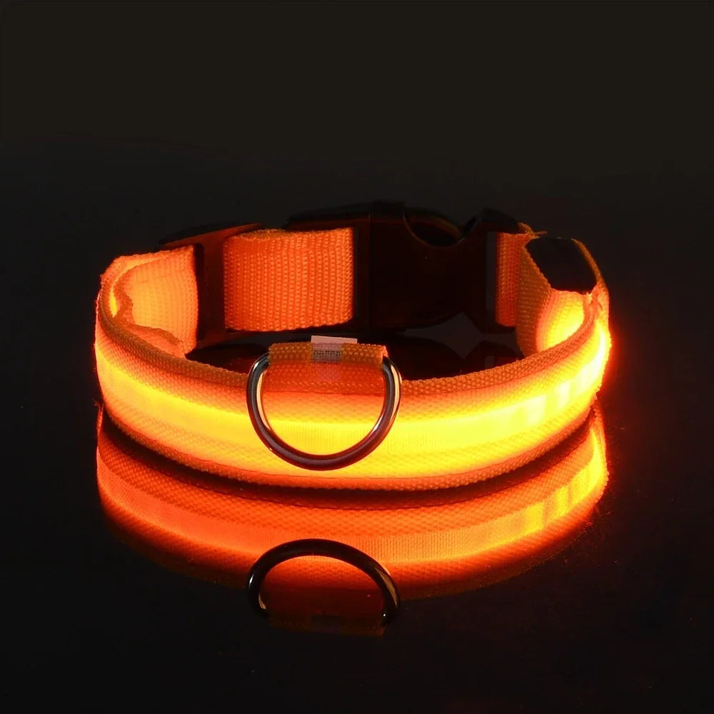Dog Collar Nylon LED Night