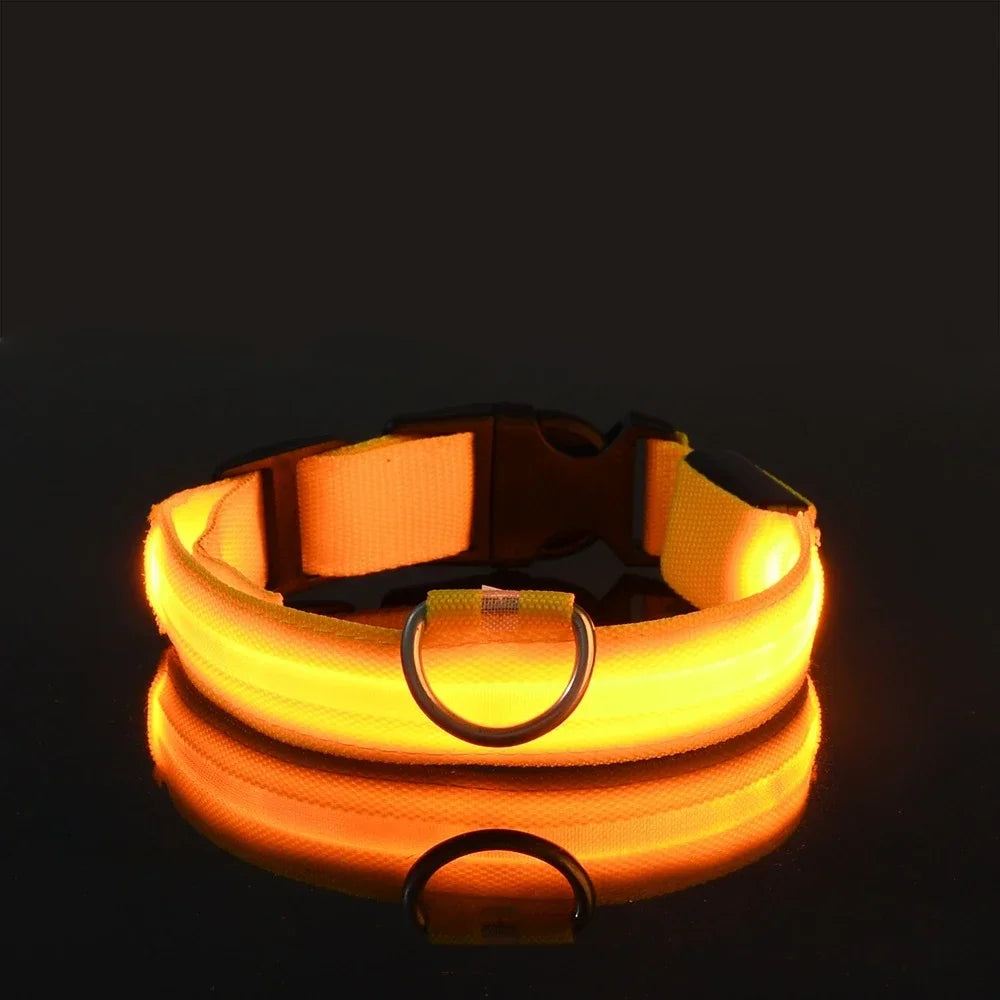 Dog Collar Nylon LED Night