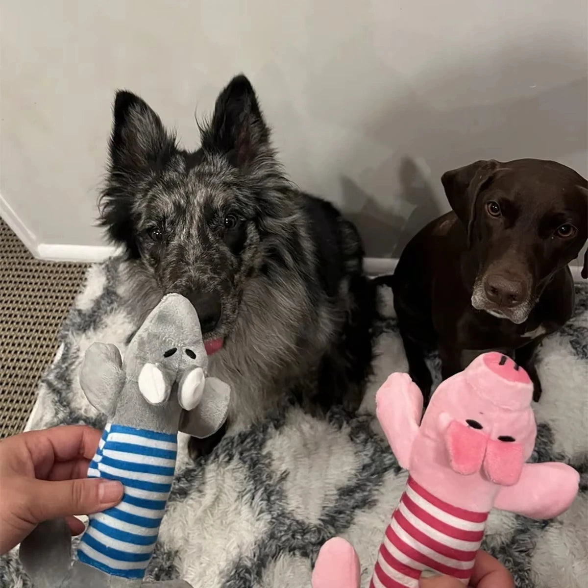 Interactive Pet Funny Plush Toys for Reduce Boredom  Pet Supplies for Small Dogs Puppy