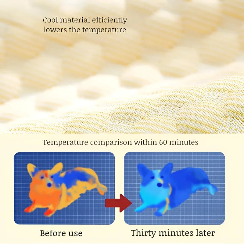 Pet Sofa Ice Doudou Backrest Big Eye Cushion