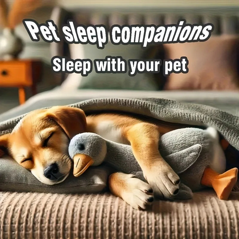 50cm Soft Colorful Duck Plush Toy for Cats Dogs