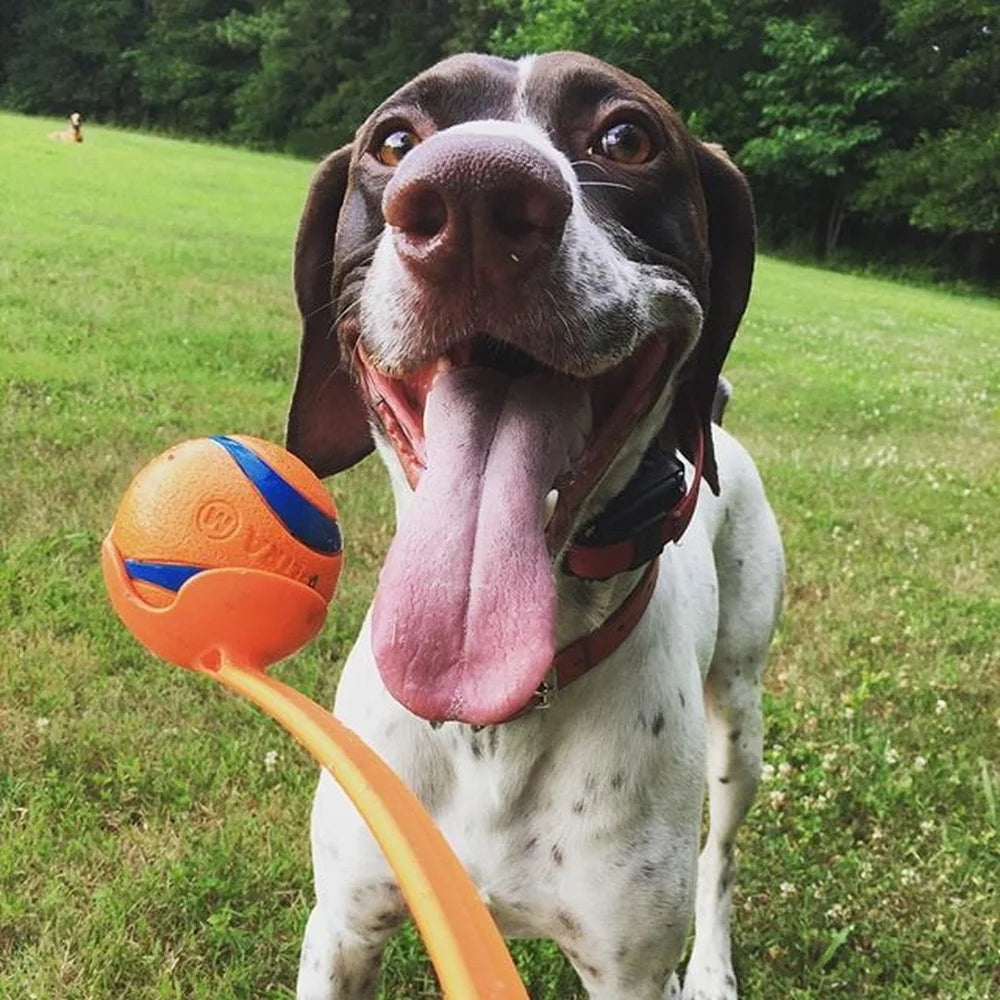 Rubber Dog Toy Fetch Medley Ball Set Pack of 3 Crunch Ultra Whistler Balls