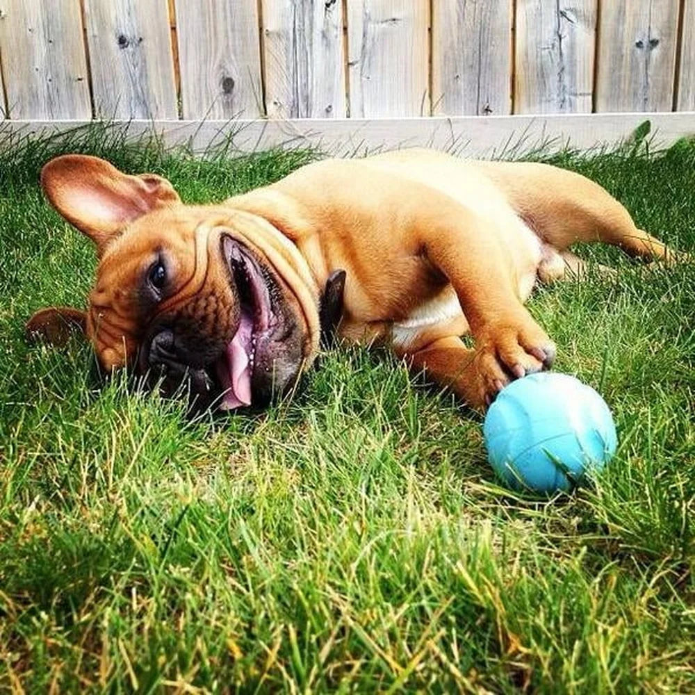 Rubber Dog Toy Fetch Medley Ball Set Pack of 3 Crunch Ultra Whistler Balls