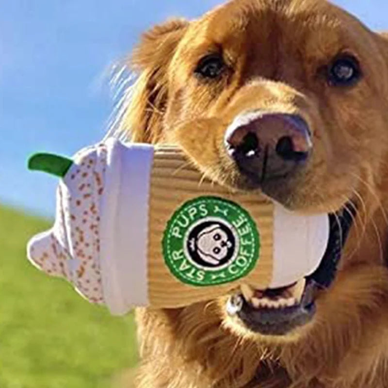 Chewing and Squeaking Dog Toys