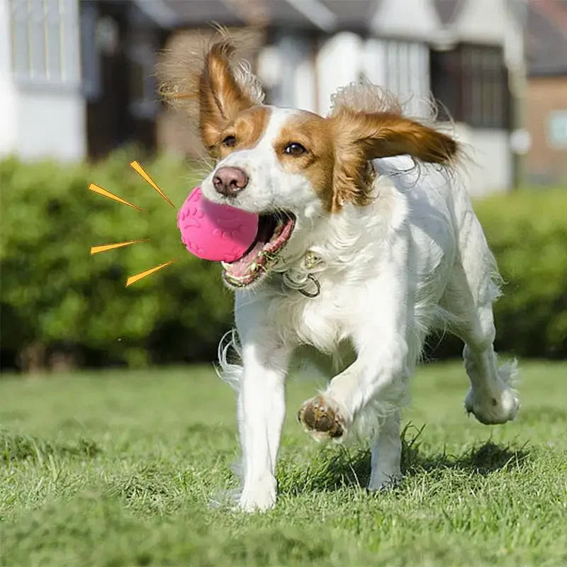 Durable Dog Chewing Squeak Toy Ball