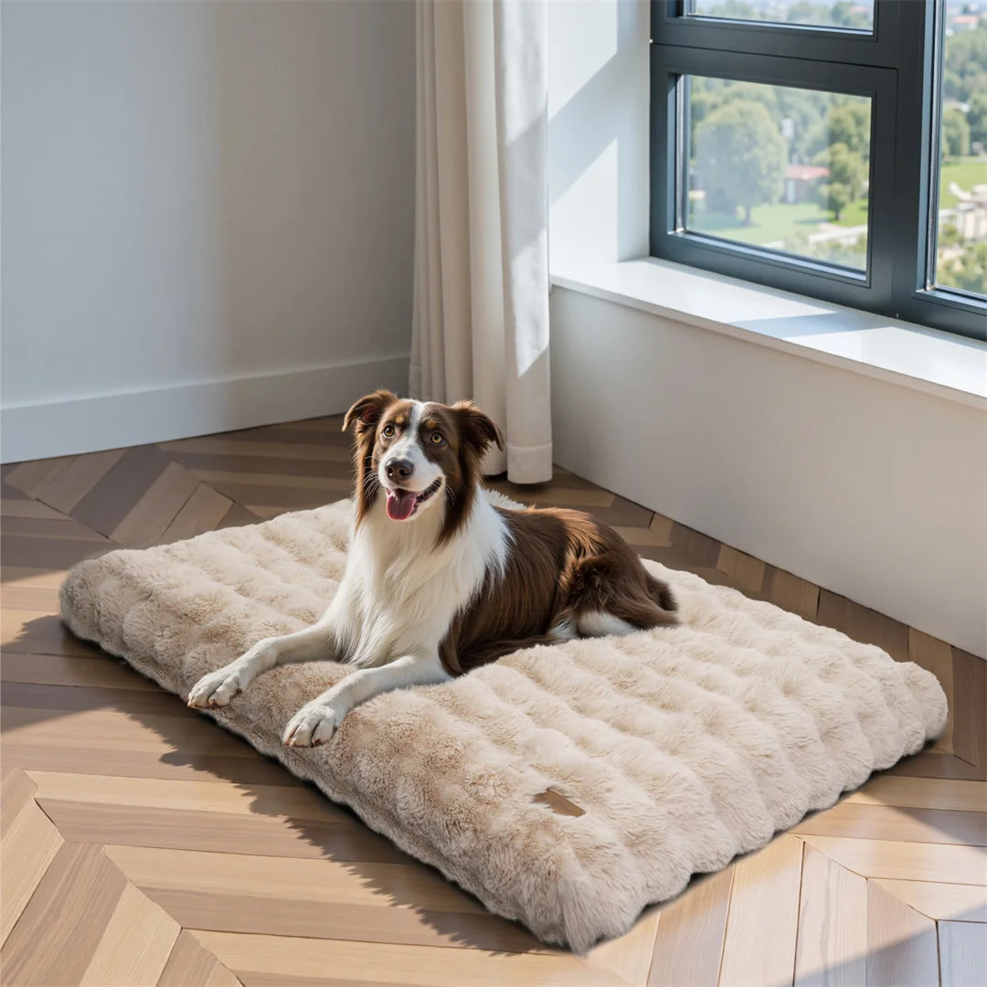 BINGOPAW Ultra-soft Dog Bed Pet  Cover