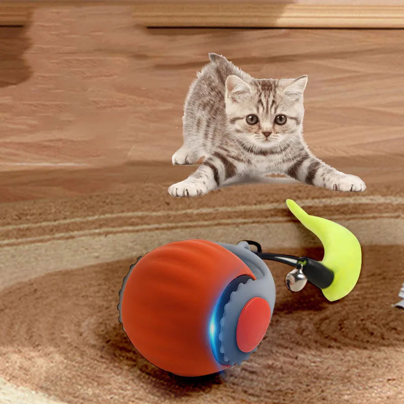 Hot pet smart cat ball