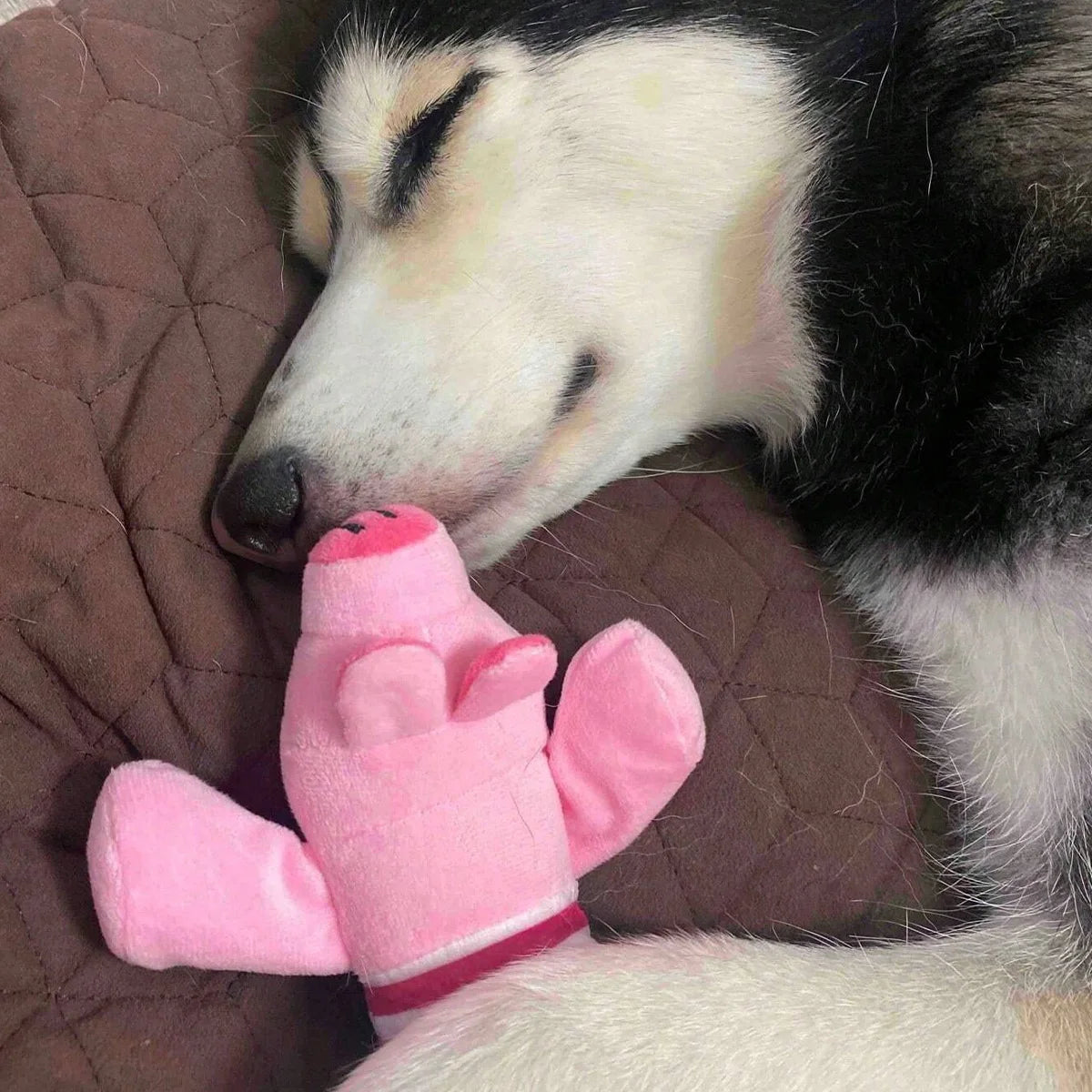 Interactive Pet Funny Plush Toys for Reduce Boredom  Pet Supplies for Small Dogs Puppy