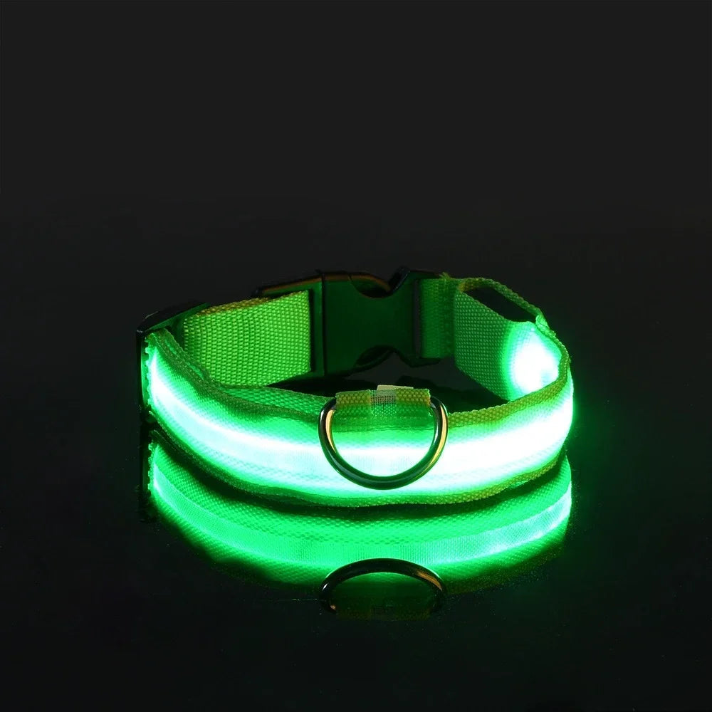 Dog Collar Nylon LED Night