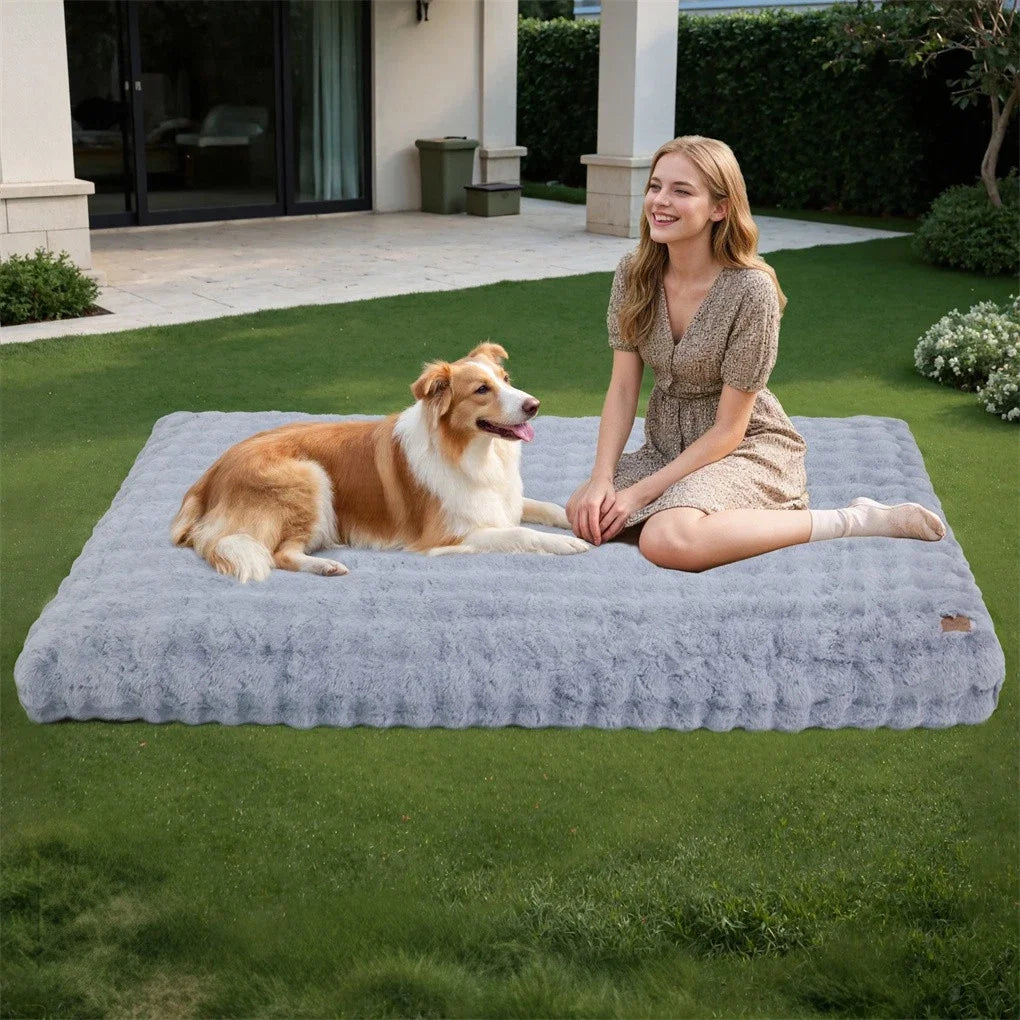 BINGOPAW Ultra-soft Dog Bed Pet  Cover